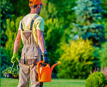 Emergency Storm Cleanup